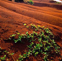 《杀手3》“自由职业者”模式延期 今年下半年推出